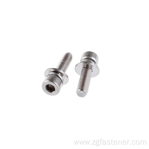 Round head screw with washer Hex socket head screw